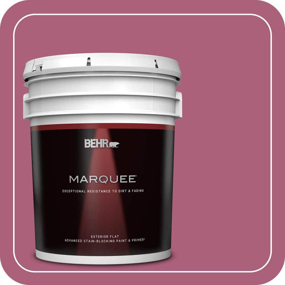 BEHR MARQUEE 5 gal. #T13-1 Daah-Ling Flat Exterior Paint & Primer