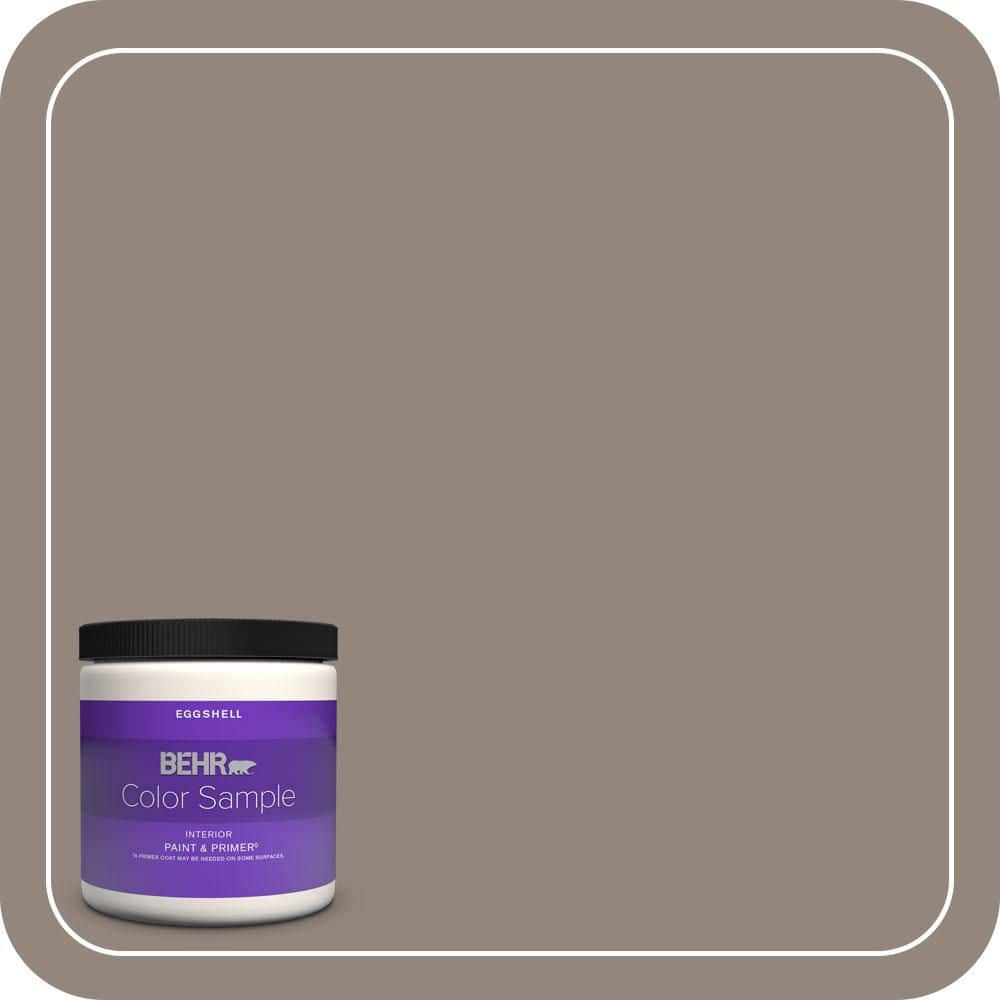 BEHR PREMIUM PLUS 8 oz. #T14-8 Film Fest Eggshell Enamel Interior Paint & Primer Color Sample