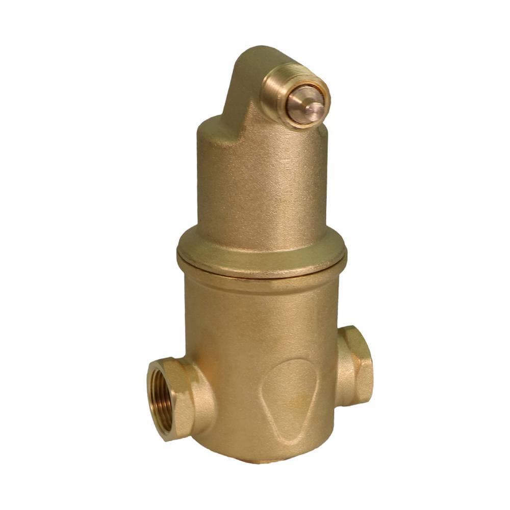 PLUMBFLEX 3/4 in. FIP Spiral Air Eliminator Valve for Hydronic Heating Applications; Solid Brass (2)