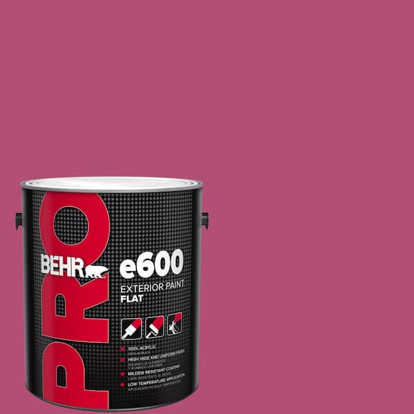 BEHR PRO 1 gal. #P120-6 Diva Glam Flat Exterior Paint (2)