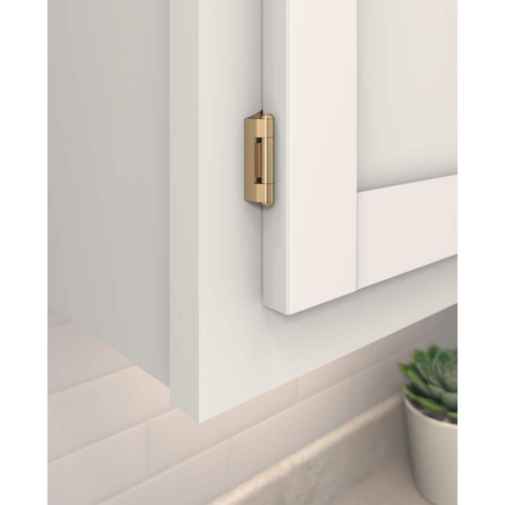 Amerock Champagne Bronze 1/4 in. (6 mm) Overlay Double Demountable, Cabinet Hinge (2-Pack) (2)