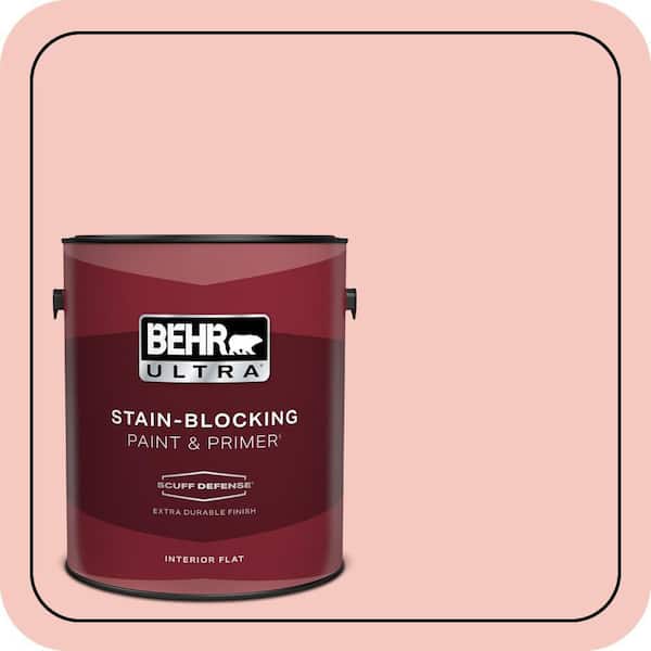 BEHR PREMIUM PLUS #180C-2 Sandblast Enamel Interior/Exterior Paint & Primer Color Sample (2)