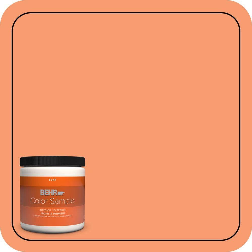 BEHR PREMIUM PLUS #P200-5 Burning Coals Enamel Low Odor & Primer (1)