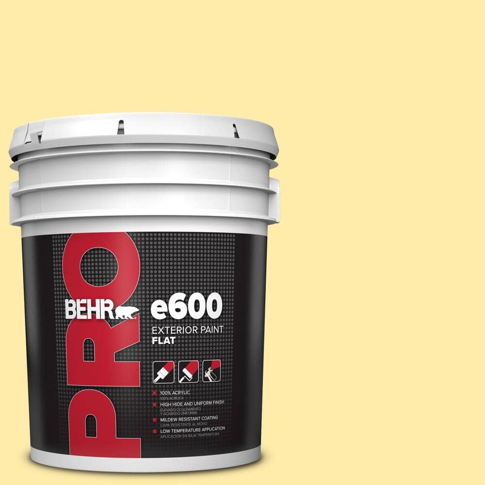 BEHR PRO 5 gal. #P300-3 Rite Of Spring Flat Exterior Paint
