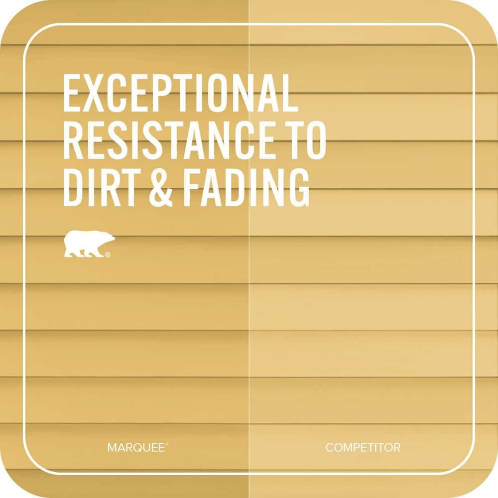 BEHR MARQUEE 5 gal. #MQ4-12 Dandelion Wish Flat Exterior Paint & Primer (4)