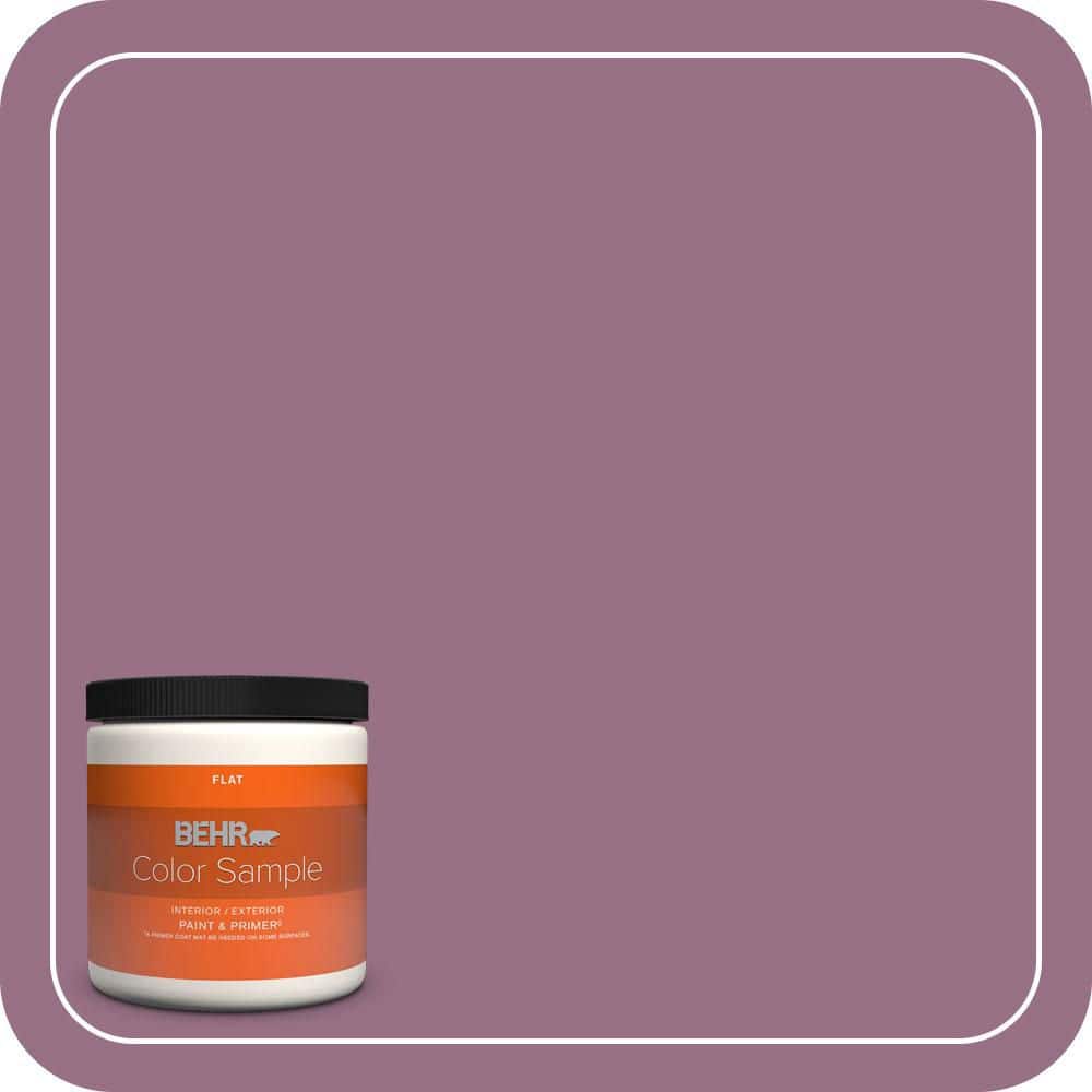 BEHR PREMIUM PLUS #690D-6 Meadow Flower Flat Interior/Exterior Paint & Primer Color Sample (1)