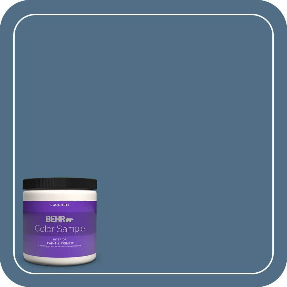 BEHR PREMIUM PLUS #S500-6 Shipyard Enamel & Primer Color Sample (1)