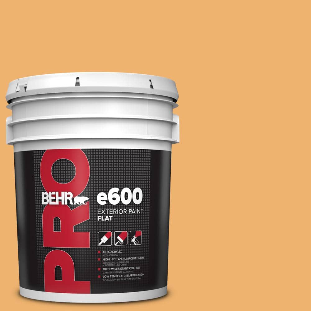 BEHR PRO 5 gal. #PPU6-03 Sunburst Flat Exterior Paint