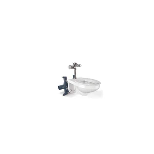 Zurn AquaSense E-Z Flush Retrofit Kit with Metal Cover, Chrome (3)