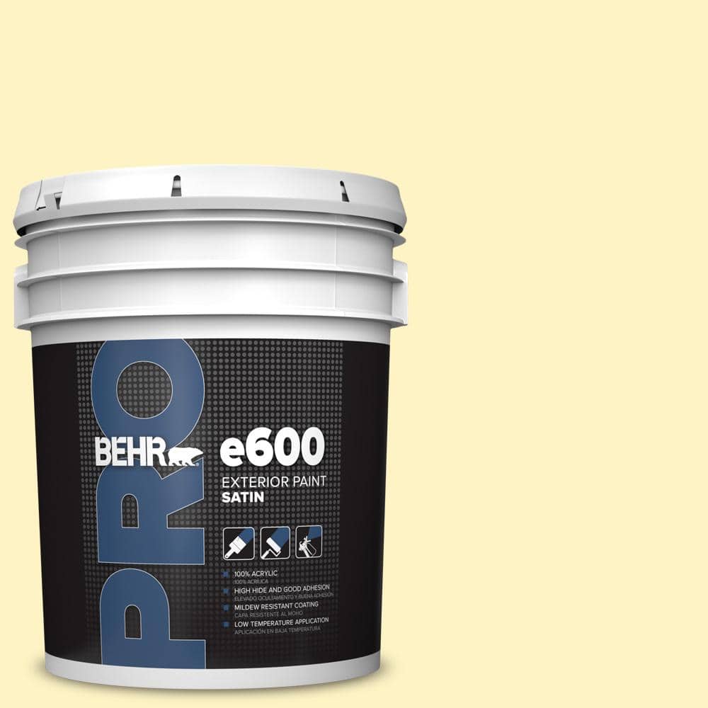 BEHR PRO 5 gal. #P310-2 Natural Light Satin Exterior Paint