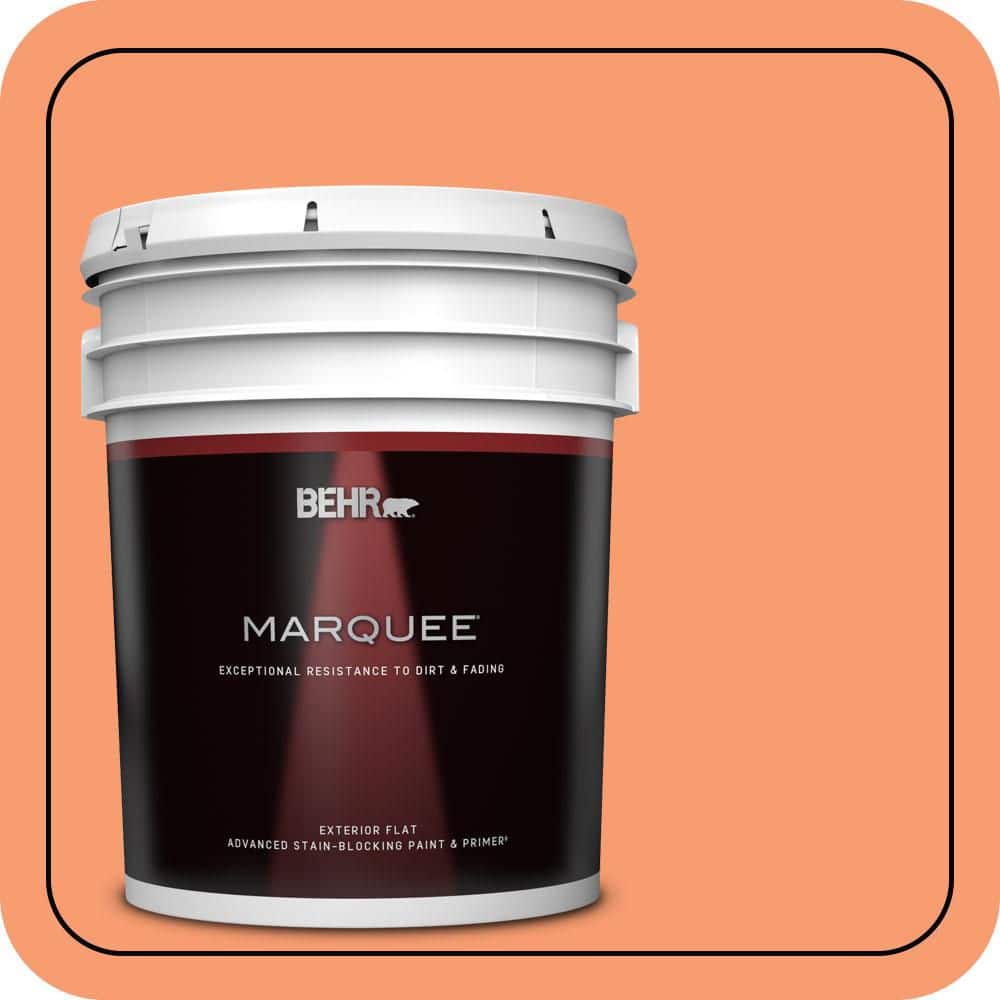 BEHR MARQUEE 5 gal. #P200-5 Burning Coals Flat Exterior Paint & Primer