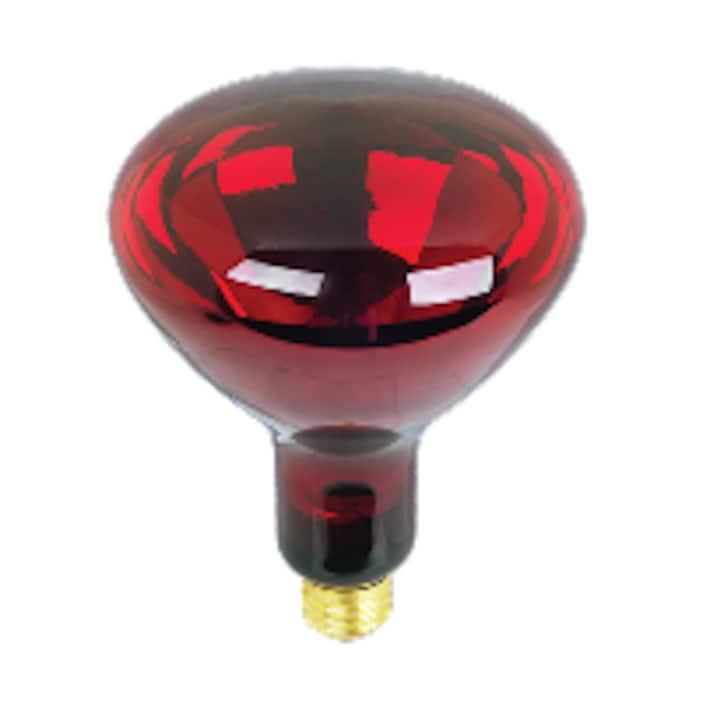 Specialty Light Bulbs