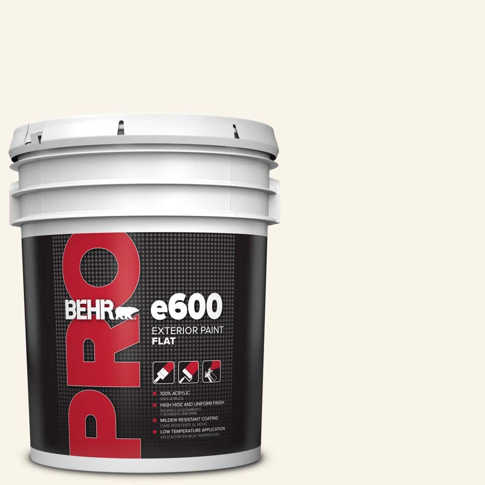 BEHR PRO 5 gal. Designer Collection #DC-005 Natural White Flat Exterior Paint