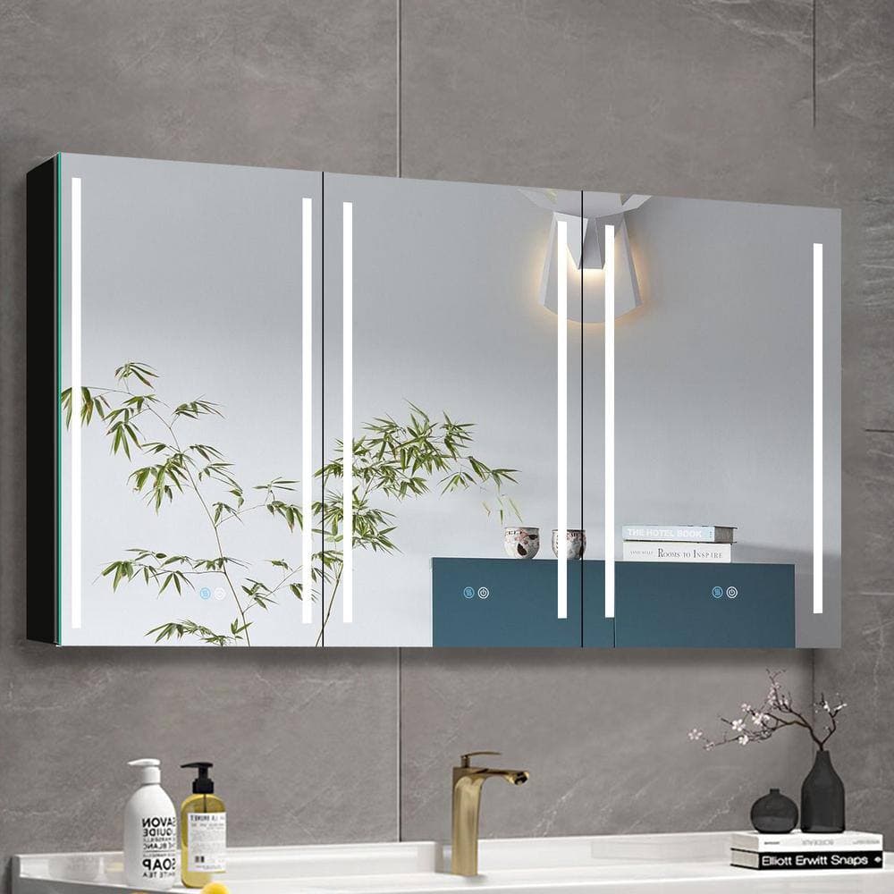 Boosicavelly 60 in. W x 30 in. H Rectangular Aluminum Medicine Cabinet with Mirror (2)