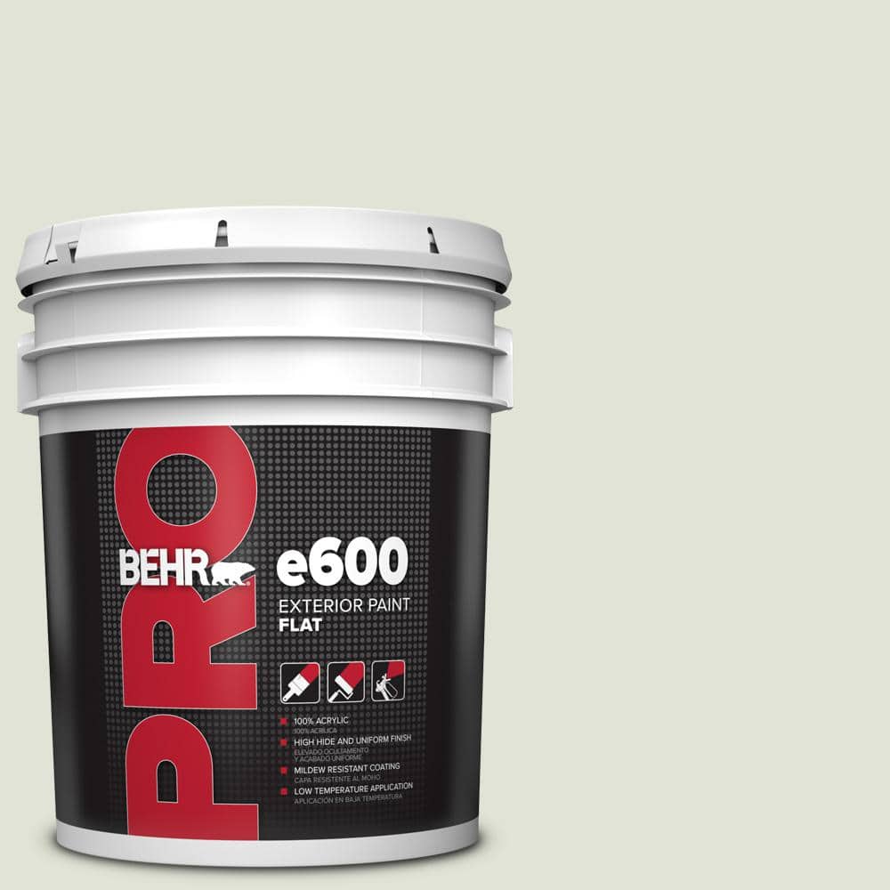 BEHR PRO 5 gal. #HDC-NT-24 Glacier Valley Exterior Flat Paint