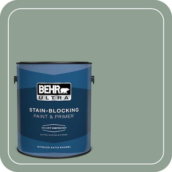 BEHR PREMIUM PLUS #ECC-52-3 Hillside View Flat Low Odor & Primer (2)