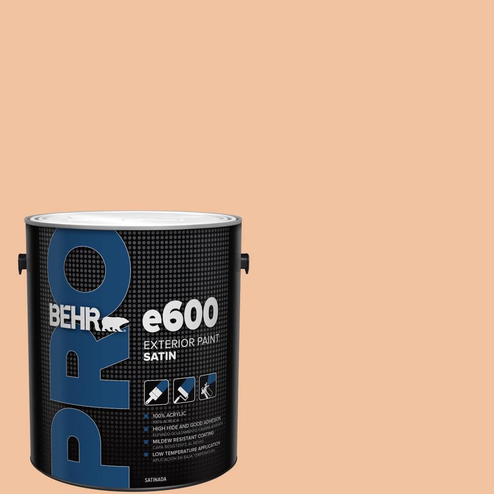 BEHR PRO 1 gal. #M220-3 Carving Party Satin Exterior Paint