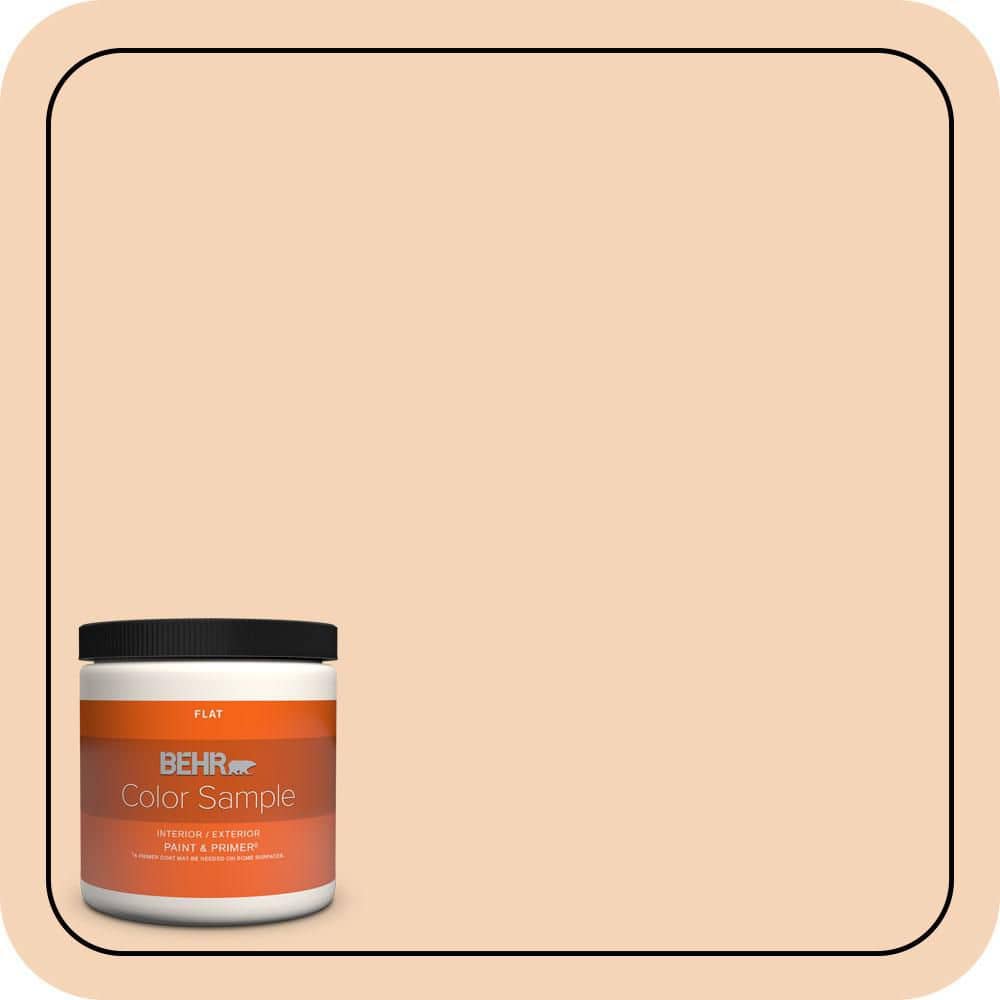 BEHR PREMIUM PLUS #BXC-37 Miami Stucco Flat Interior/Exterior Paint & Primer Color Sample (1)