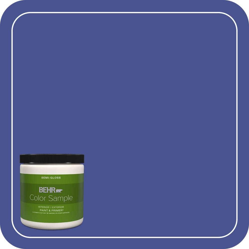 BEHR PREMIUM PLUS #P540-7 Canyon Iris Interior/Exterior Paint & Primer Color Sample
