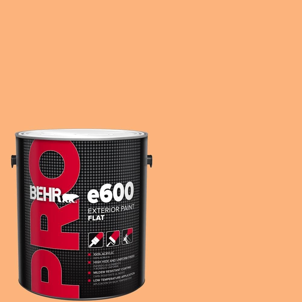 BEHR PRO 1 gal. #P220-5 Fuzzy Peach Flat Exterior Paint