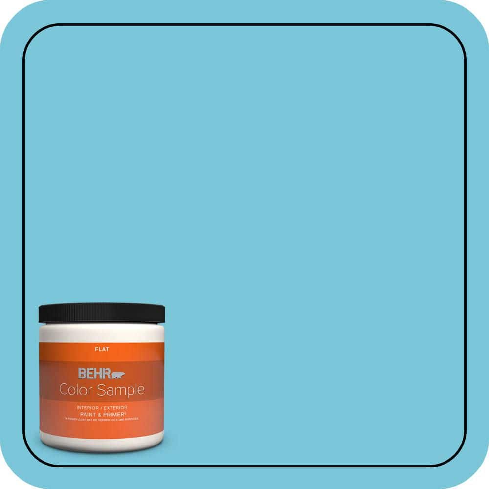 BEHR PREMIUM PLUS #520B-4 Water Flow Flat & Primer (1)