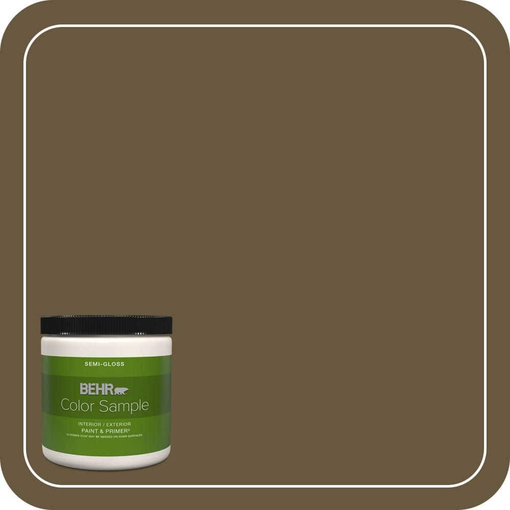 BEHR PREMIUM PLUS #PPU7-01 Moss Stone Interior/Exterior Paint & Primer Color Sample (1)