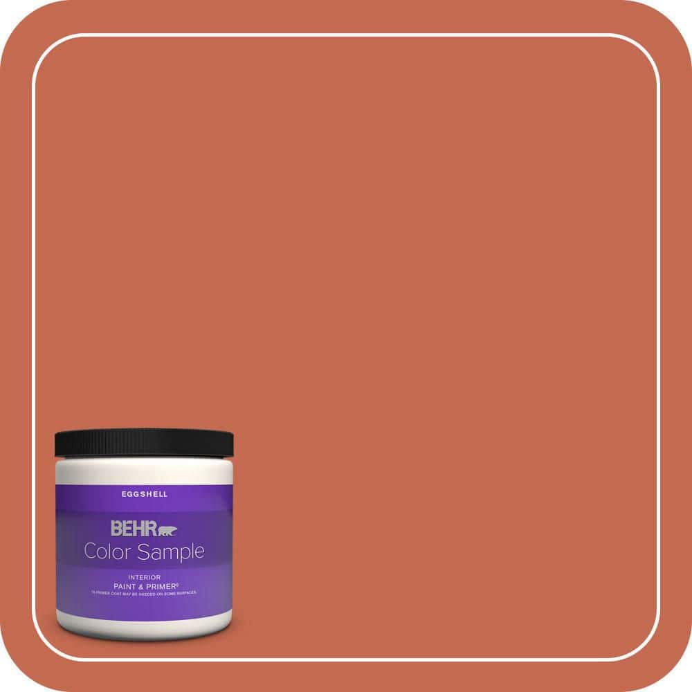 BEHR PREMIUM PLUS 8 oz. #T16-14 Raw Copper Eggshell Enamel Interior Paint & Primer Color Sample