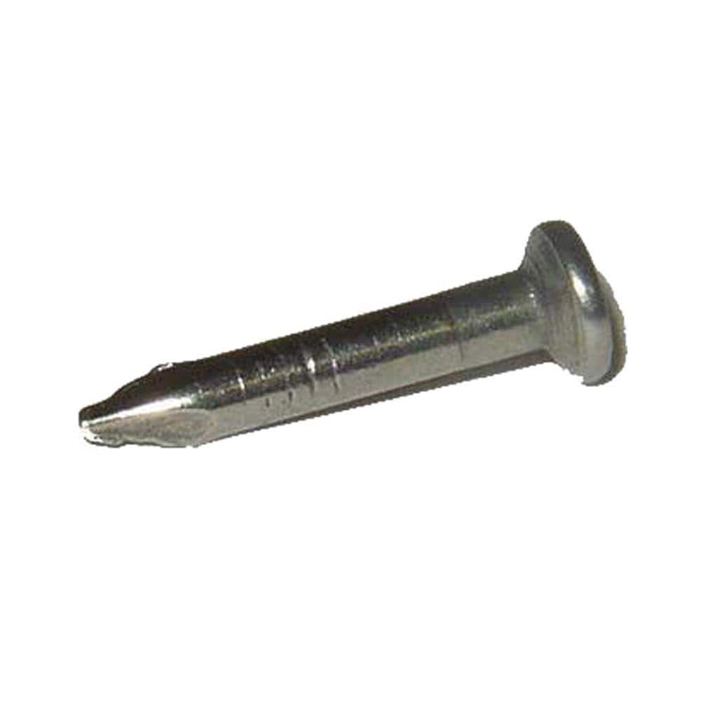 Grip-Rite 11/16 in. x 12-Gauge Hardened Steel Smooth Shank Carpet Tacks 6 oz. Box (2)