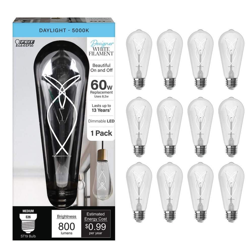Feit Electric 60-Watt Equivalent ST19 Dimmable Knot Thin White Filament Clear Glass E26 Vintage Edison LED Light Bulb Daylight 12-Pack