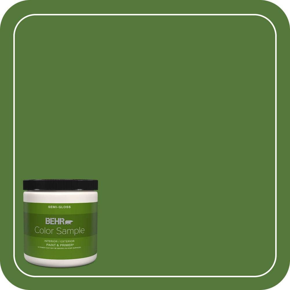 BEHR PREMIUM PLUS #P380-7 Luck of the Irish Interior/Exterior Paint & Primer Color Sample (1)