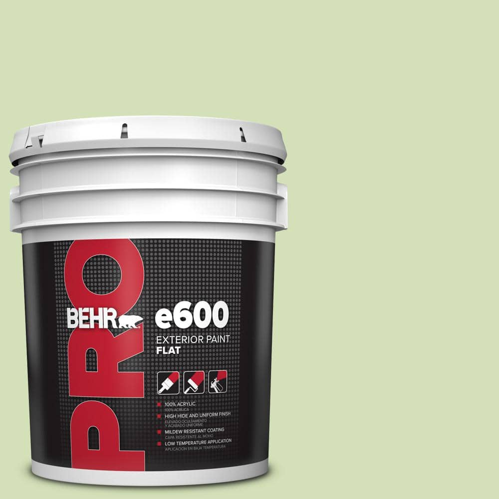 BEHR PRO 5 gal. #MQ4-45 Spring Glow Exterior Flat Paint