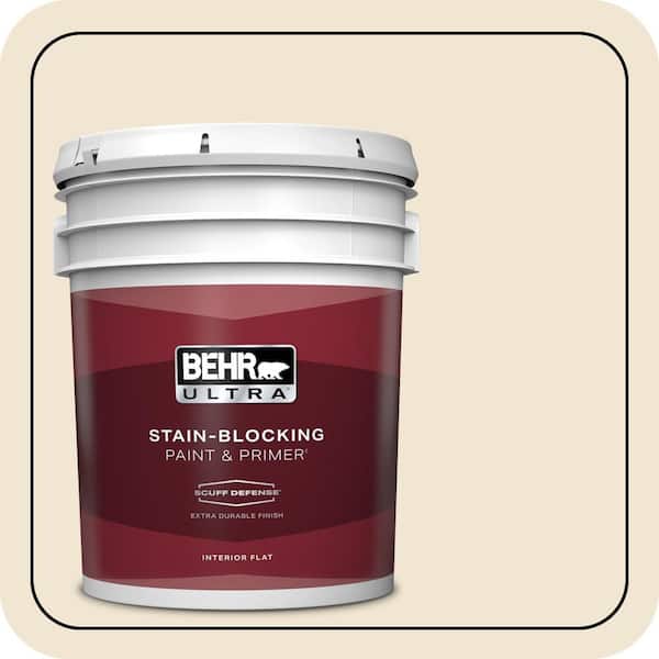 BEHR PREMIUM PLUS Home Decorators Collection #HDC-FL13-5 Rye Flour Enamel & Primer Color Sample (2)