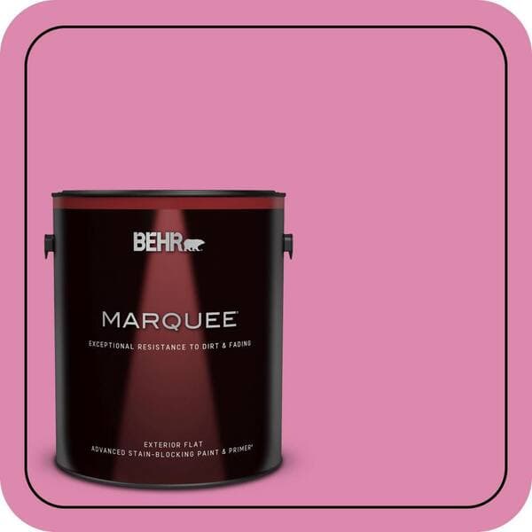 BEHR PREMIUM PLUS #100B-5 Springtime Bloom Interior/Exterior Paint & Primer Color Sample (3)