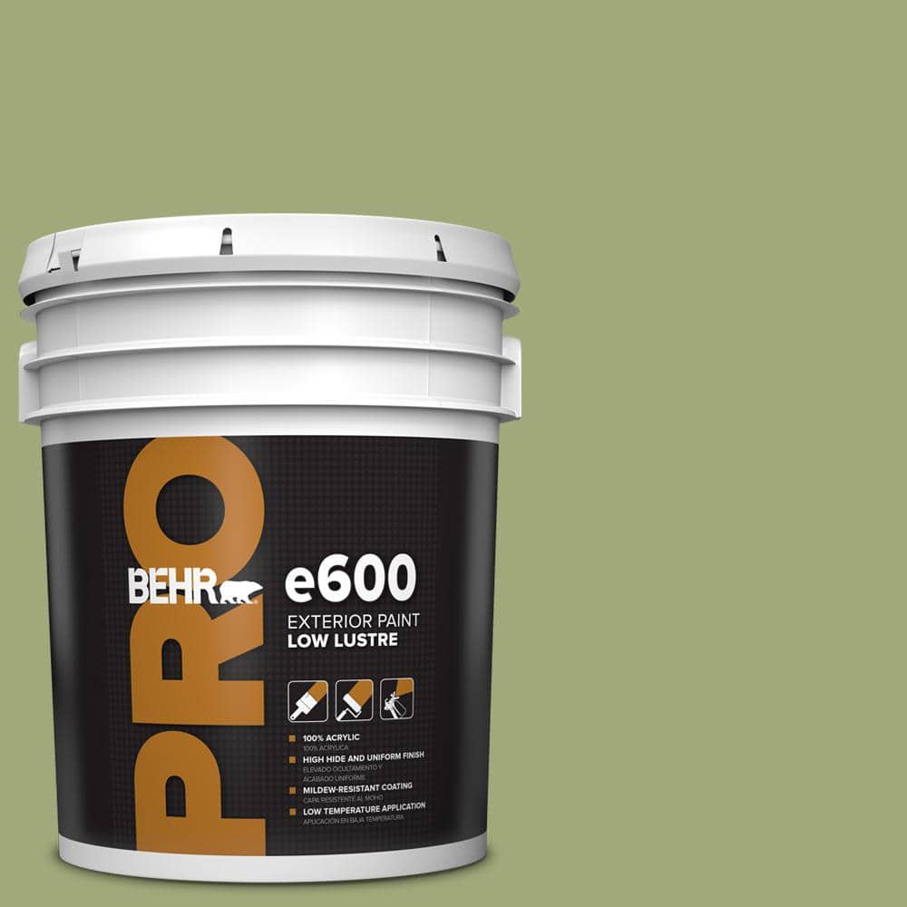 BEHR PRO 5 gal. #T18-16 Nurturing Low Luster Exterior Paint