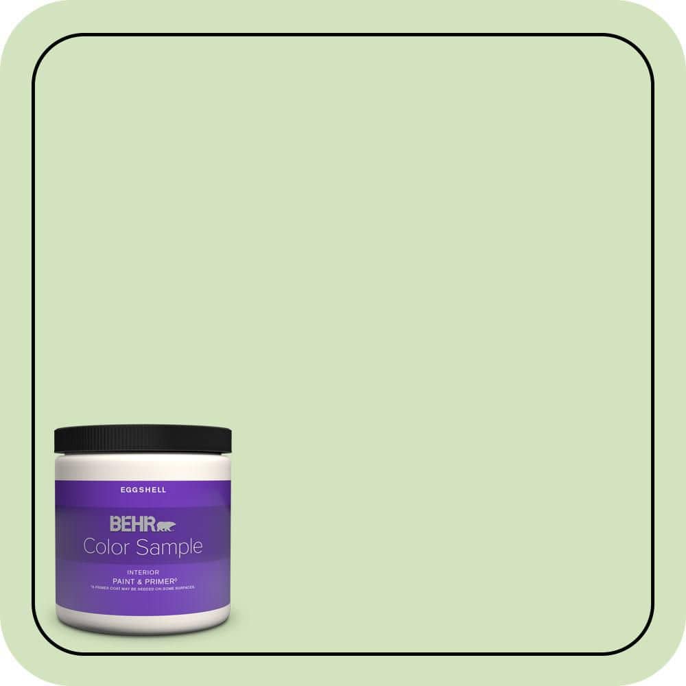BEHR PREMIUM PLUS #P380-3 Irish Folklore Interior/Exterior Paint & Primer Color Sample (1)