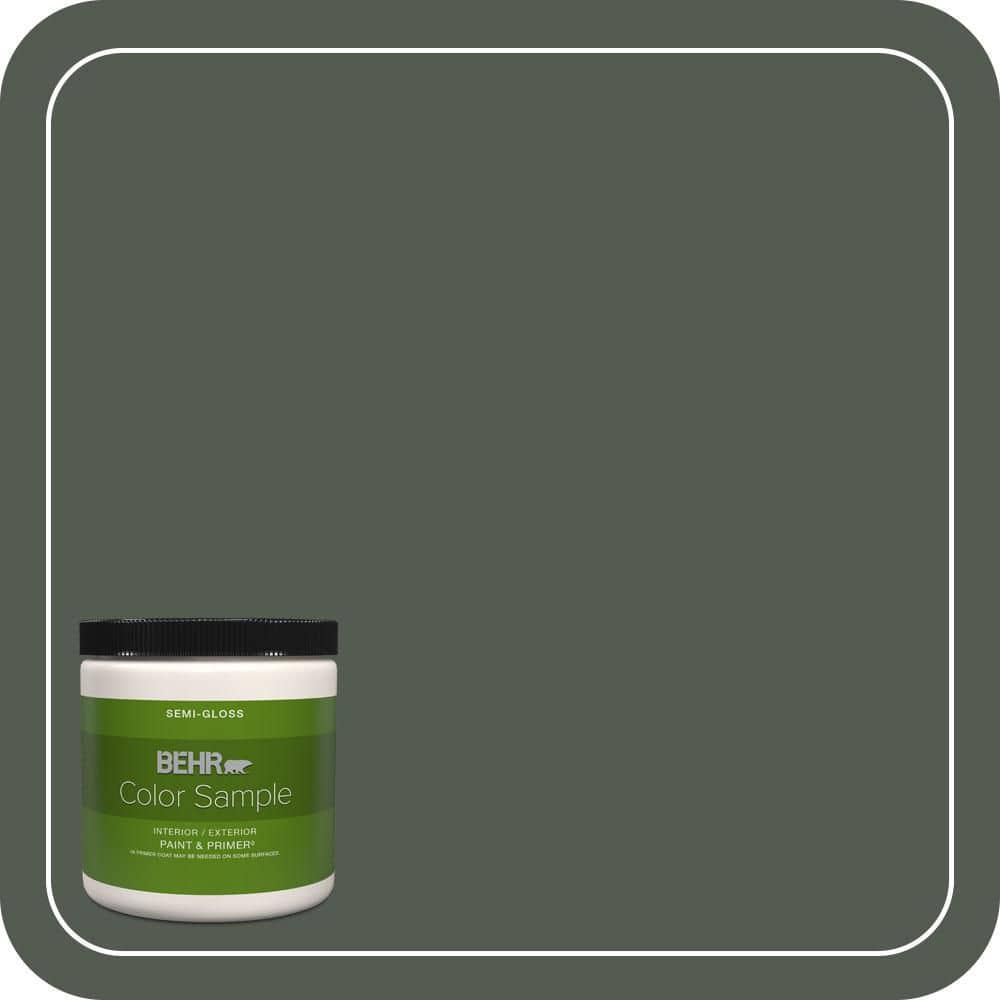 BEHR PREMIUM PLUS #N410-7 North Woods Interior/Exterior Paint & Primer Color Sample
