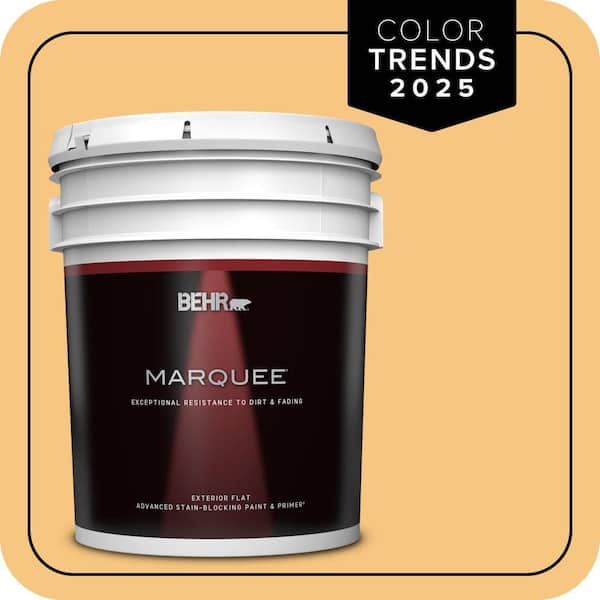 BEHR MARQUEE 5 gal. #PPU6-07 Jackfruit Flat Exterior Paint & Primer (2)