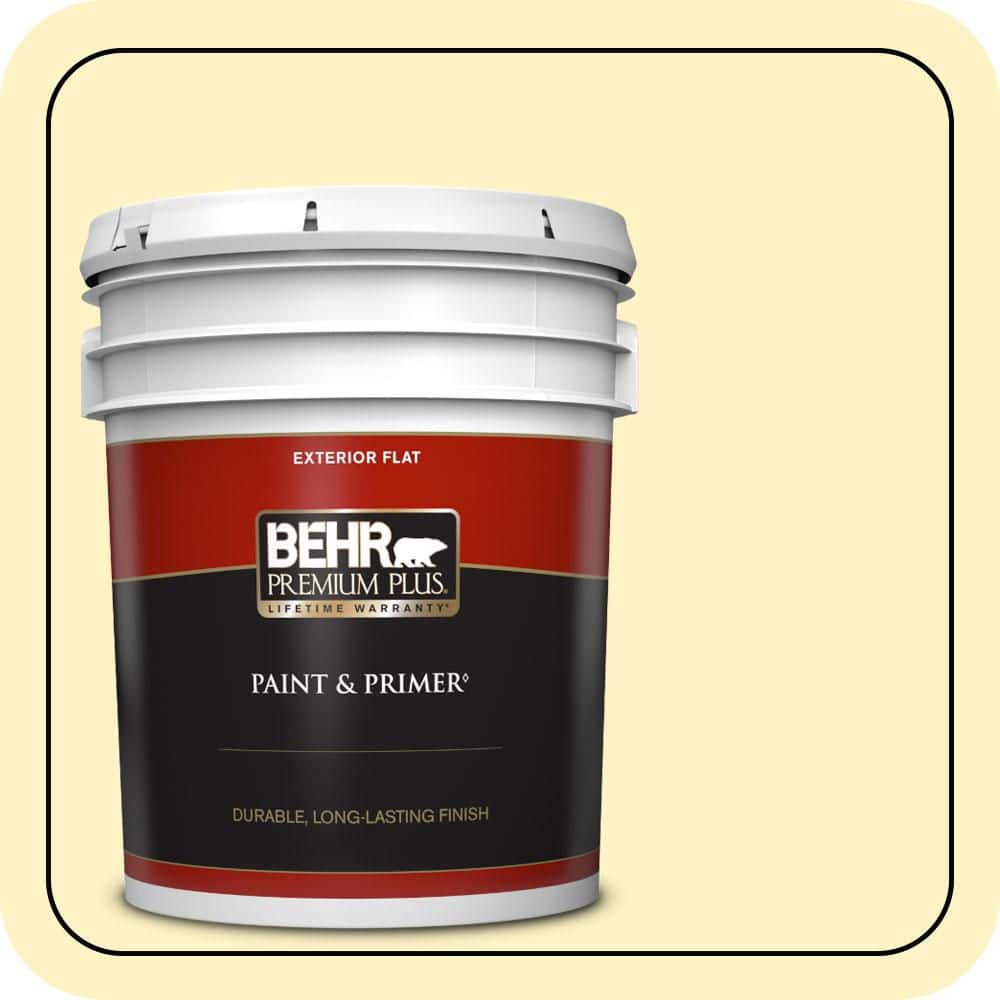 BEHR PREMIUM PLUS 5 gal. #P310-2 Natural Light Flat Exterior Paint & Primer