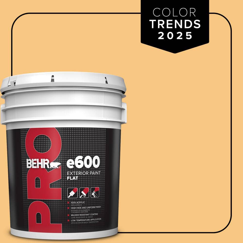 BEHR PRO 5 gal. #PPU6-07 Jackfruit Flat Paint