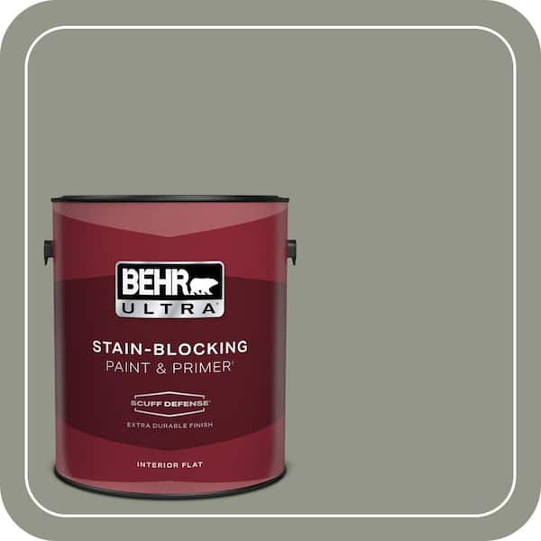BEHR PREMIUM PLUS #ECC-36-1 Shady Willow Enamel Exterior Stain-Blocking Paint & Primer (2)
