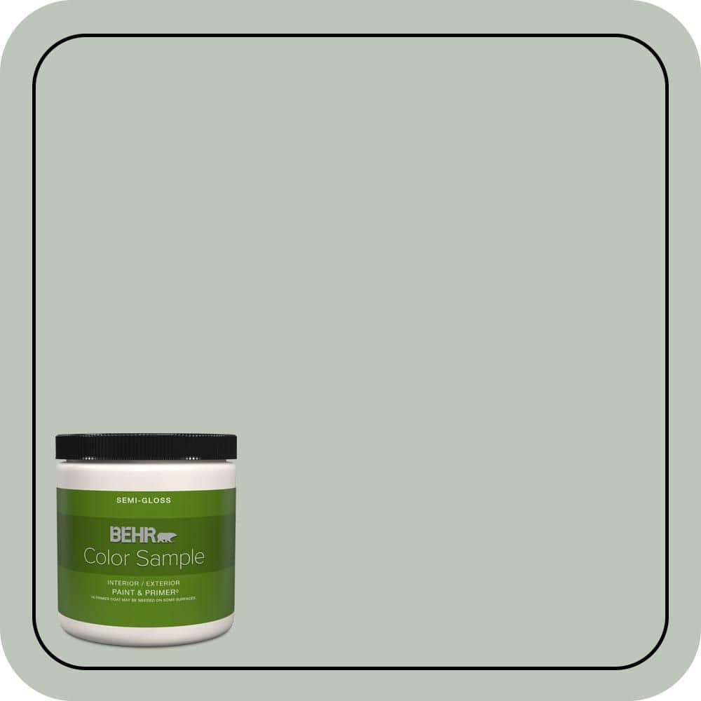 BEHR PREMIUM PLUS #N410-3 Riverdale Interior/Exterior Paint & Primer Color Sample (1)
