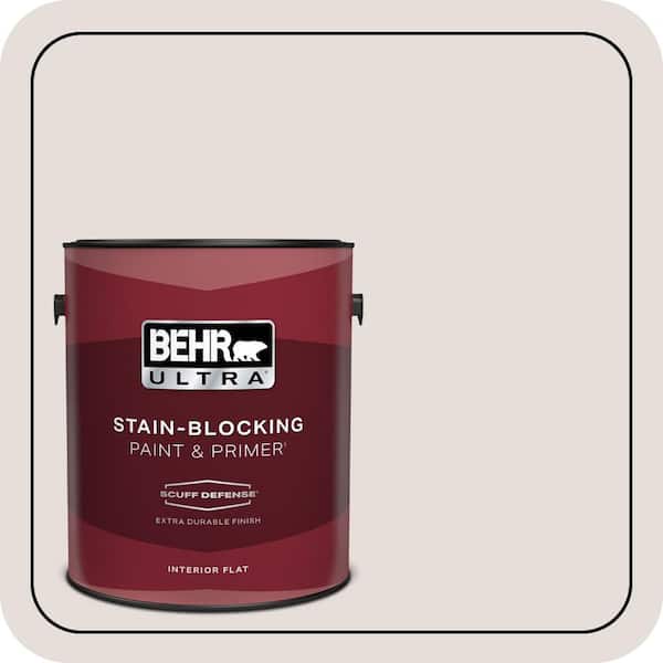 BEHR PREMIUM PLUS Home Decorators Collection #HDC-CT-17 Pale Starlet Enamel Interior/Exterior Paint & Primer Color Sample (4)