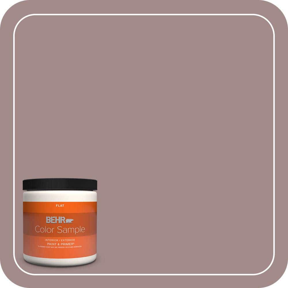 BEHR PREMIUM PLUS #PPU17-15 Cameo Rose Flat Low Odor & Primer (1)