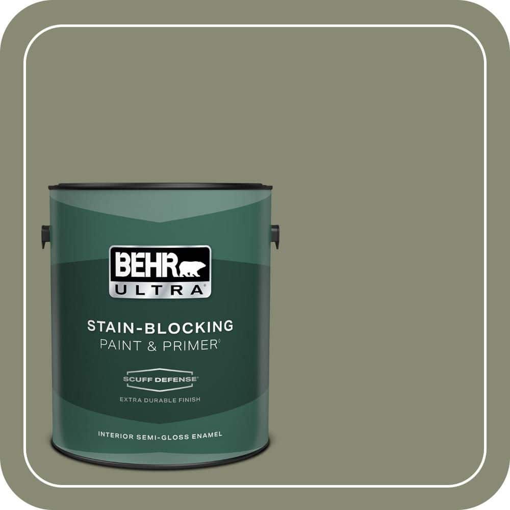 BEHR PREMIUM PLUS #PPU10-17 Aloe Thorn Flat Interior/Exterior Paint & Primer Color Sample (1)