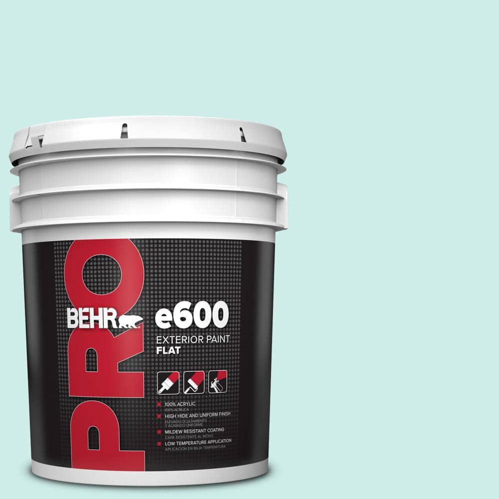 BEHR PRO 5 gal. #500C-3 Spa Flat Exterior Paint