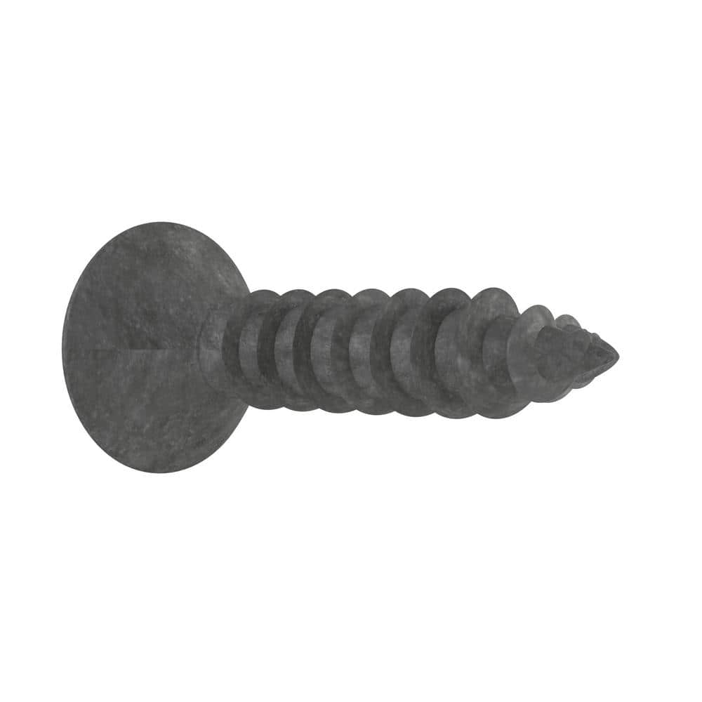 Everbilt #6 Oil-Rubbed Bronze Flat-Head Phillips Cabinet Hinge Screw (10-Piece per Pack) (3)
