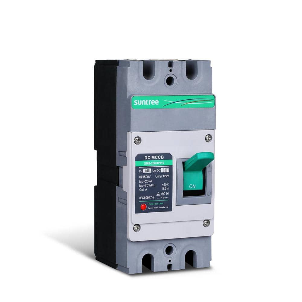 Renogy 160A 2P DC Molded Case Circuit Breaker (1)