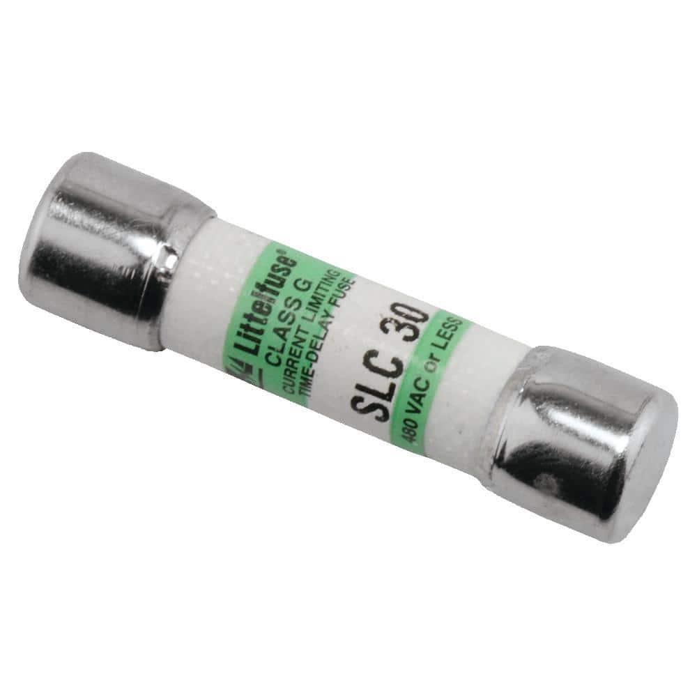 Rheem PROTECH 30 Amp 300-Volt Fuse (1)