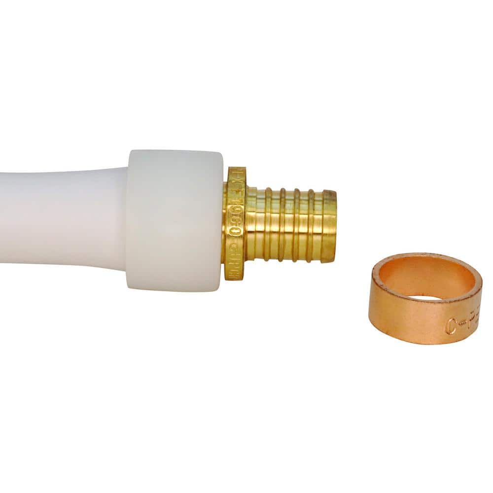 Apollo 1/2 in. Brass PEX-A Barb x Polybutylene Coupling (4)