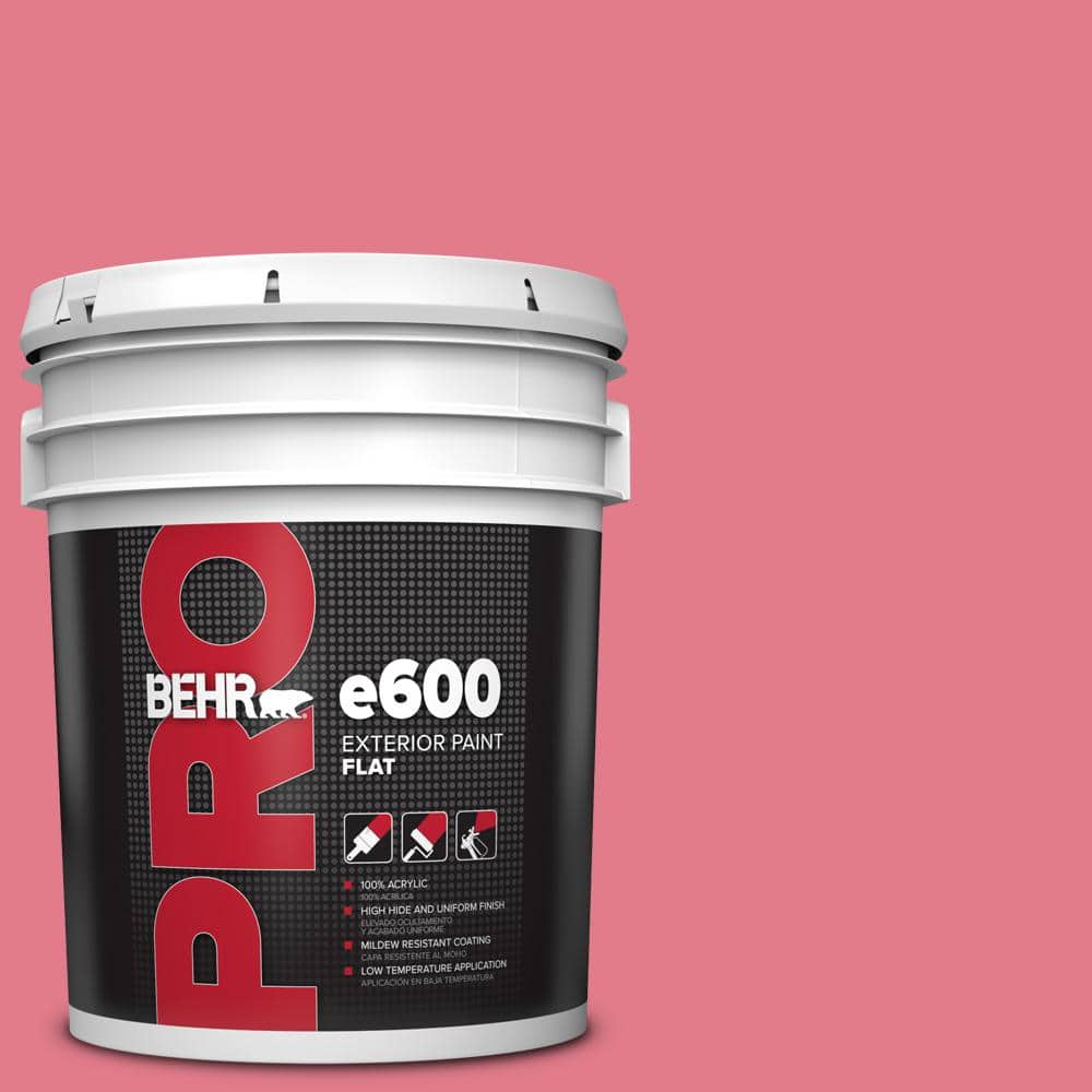 BEHR PRO 5 gal. #P150-4 Hot Gossip Flat Exterior Paint